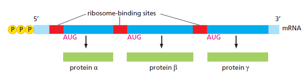 Figure 6-71.png